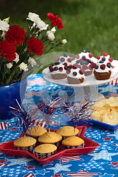 4th of July picnic