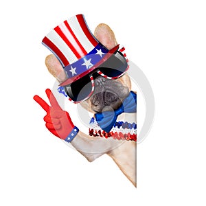 4th oh july dog