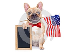 4th oh july dog