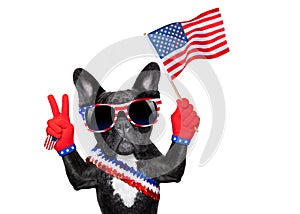 4th oh july dog