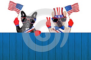 4th oh july row of dogs