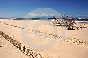 4WD Tracks on Beach photo