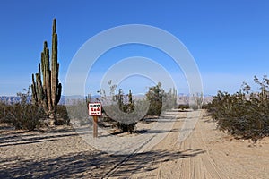 Only 4x4 in the Baja California Desert