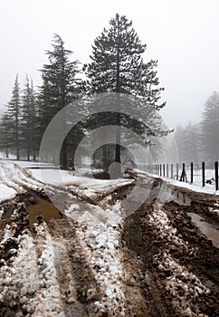 4X4 car track traces in mud at the mountains. Forest landscape covered in snow. Winter landscape.