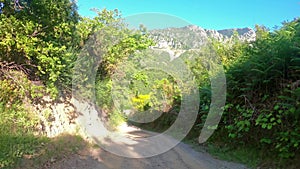 4x4 driving on a dirt road through lush vegetation in a mountainous terrain in Evvia Euboea, in Greece