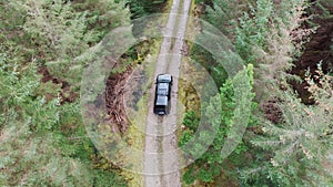 4x4 pickup vehicles driving through forest - all brands removed