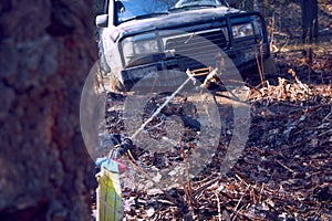 4x4 SUV pulls itself out of the trap with a winch caught in a tree