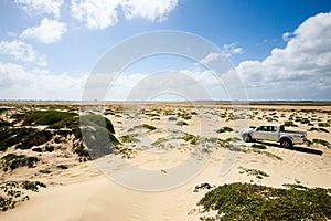 4x4 truck in dunes