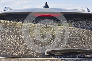 4x4 vehicle with rear window covered with dust. Offroad drive