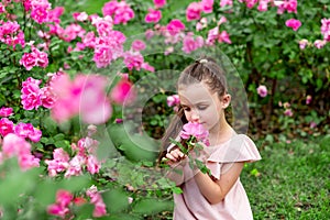 A 5-6 year old girl among roses in the Park sniffs flowers