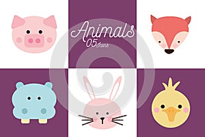 5 Cute animals cartoons flat style icon set vector design