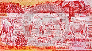 5 Dalasis banknote, Bank of Gambia. Fragment: Agricultural scene depicting cattle herder and palm trees