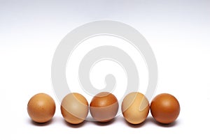 5 eggs lined up in a white background