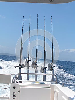 5 Fishing Rods photo