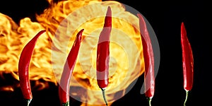 5 hot chili peppers on fire