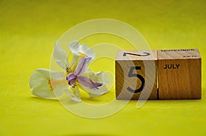 5 July on wooden blocks with an african iris