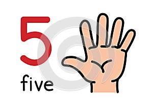 5, Kid`s hand showing the number five hand sign.
