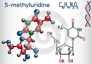 5-methyluridine ribothymidine - pyrimidine nucleoside molecule