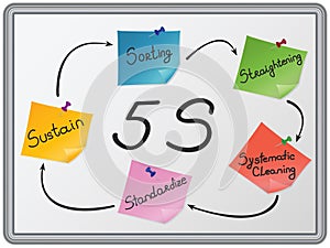 The 5 S organization