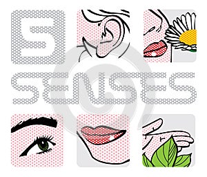 5 senses