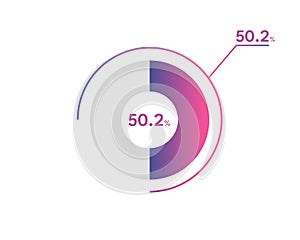 50.2 Percentage circle diagrams Infographics vector, circle diagram business illustration, Designing the 50.2 Segment in the Pie