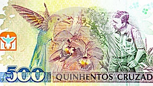 500 Cruzeiros banknote, Bank of Brazil, closeup bill fragment shows Ruschi examining plants, Swallow-tailed Hummingbird