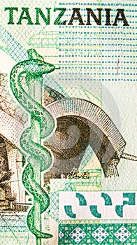 500 Shillings banknote. Bank of Tanzania. National currency. Fragment: Snake