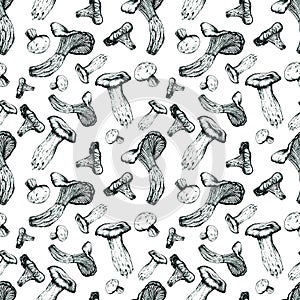5003 Mushrooms Chanterelle, Eringi, Cremini Ink Hand Drawn Seamless Pattern
