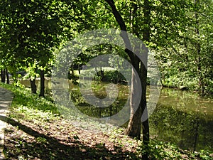 53.Forest Park `DROZDY` in Minsk Belarus