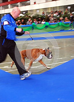 59ÃÂ° International Canine Show