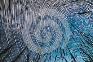 5k Timelapse Spin Trails Of Stars Above Young Wheat Sprouts In Summer Agricultural Season. Night Starry Sky Glowing