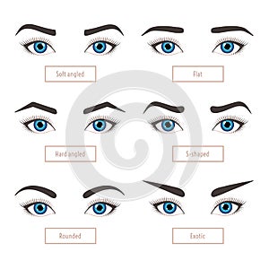 6 basic eyebrow shapes with captions.