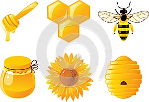 6 bee and honey icons in vector