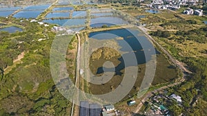 6 Jan 2023 the landscape of Fung Lok Wai Fish Pond