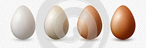 6 Six Vector 3d Realistic White, Brown Chicken Eggs in Opened Carton Paper Box, Container, Packaging. Textured Chicken