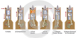 6 stroke Benzene Engine. Education infographic. Vector design.
