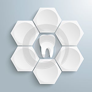 6 White Hexagons Cylce Tooth