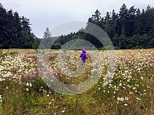 A 6 year old girl walking through the meadows of East Sooke Regional Park, surrounded by forest.