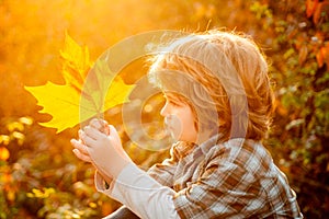 6 years old child hold autumn leaves in a park and dreamind. Kid has dream in fall leaves. Autumnal kids mood.
