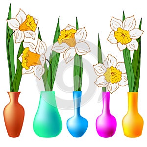 601 narcissus, vector illustration, isolate on a white background