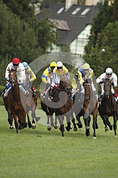 65. Tattersalls St. Leger race in horse racing
