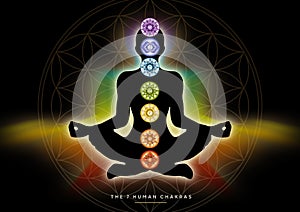 7 Chakra symbols and Flower of Life. Human energy body, aura, yoga lotus pose.