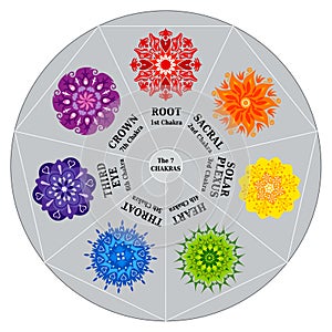 7 Chakras Color Chart with Mandalas