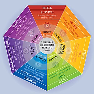 7 Chakras Color Chart with Mandalas, Senses and Goals