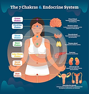 7 Chakras and Endocrine System, Esoteric Healing Therapy Vector Illustration Diagram Scheme.