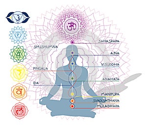 7 Chakras, ida and pingala photo