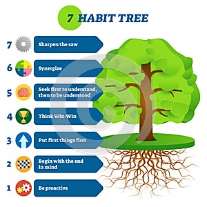 7 habit tree success mindset stages vector illustration