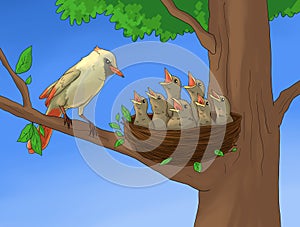 7 litle bird at nest and angry mother bird illustrations