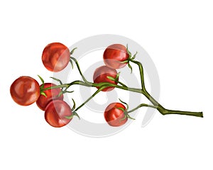 7 small ripe red cherry tomatoes on a green twig. Digital illustration on a white background