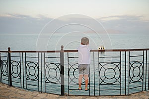 7-year blond son boy looking at the sea from the garden of a resort in a tropic destination